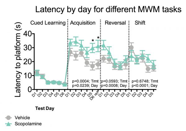 Spatial memory deficits in epileptic mice a. Morris water maze task.